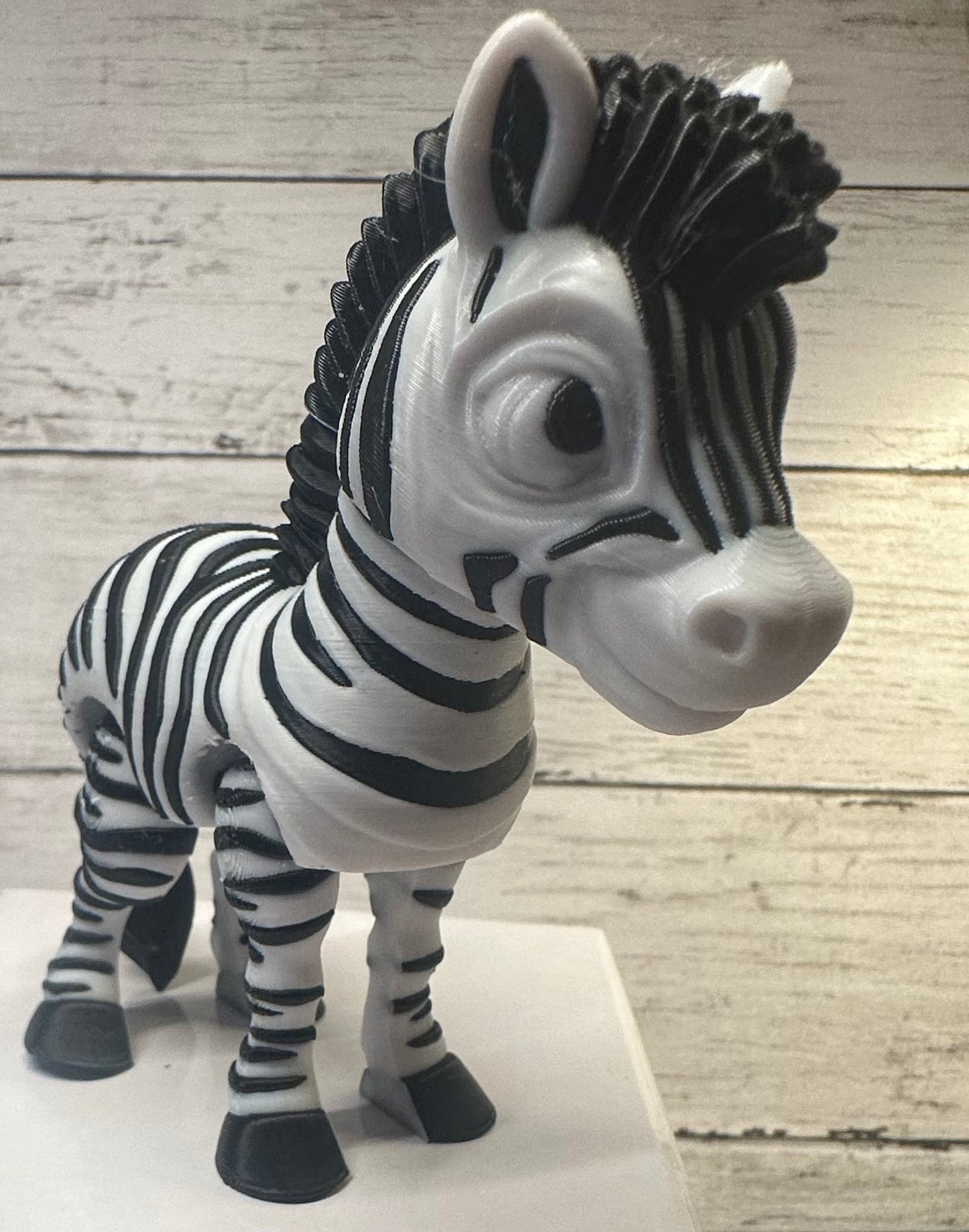 Zebra