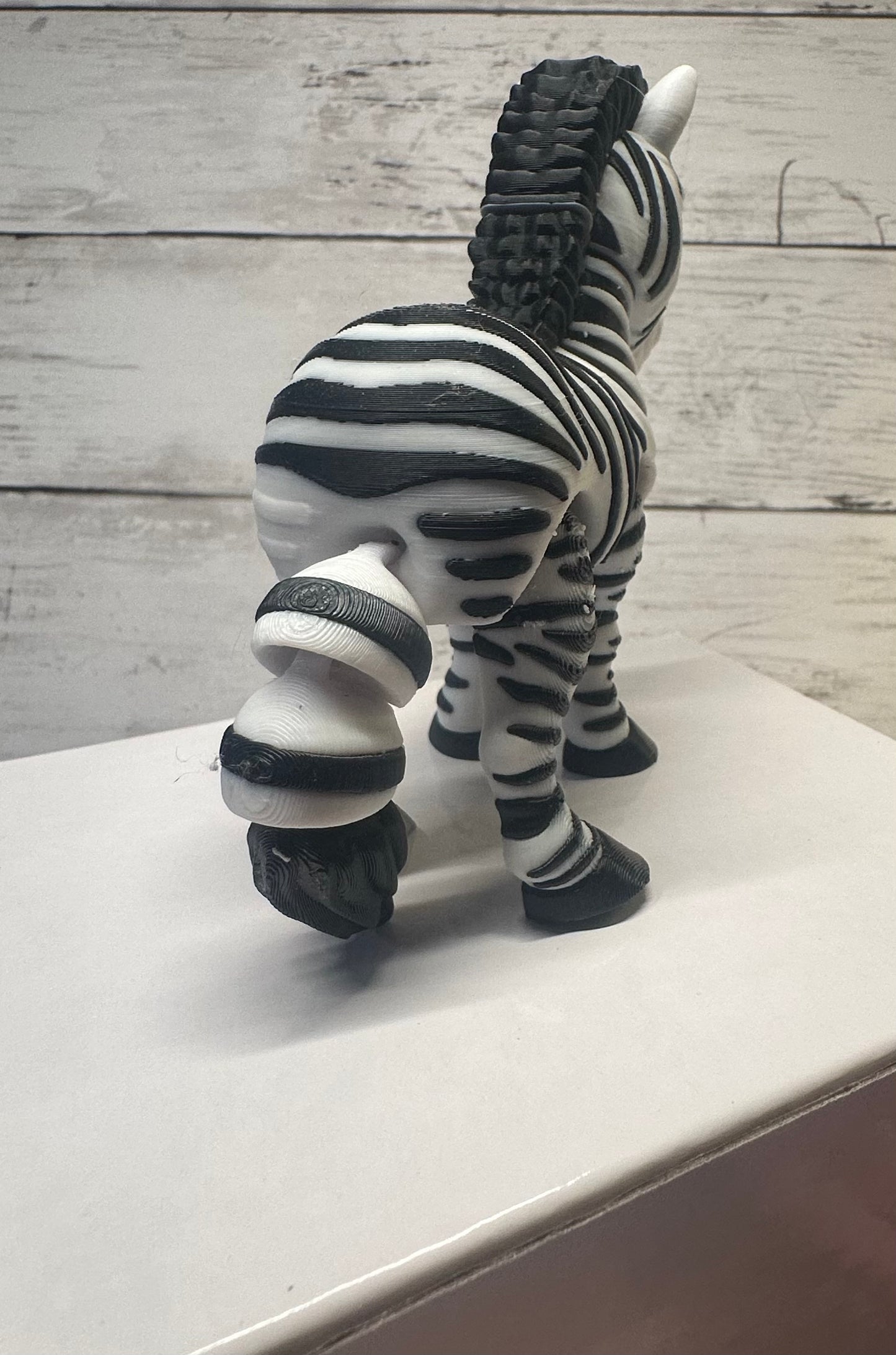 Zebra