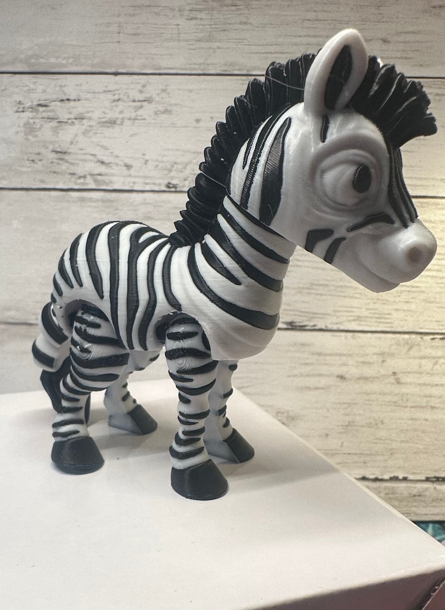 Zebra