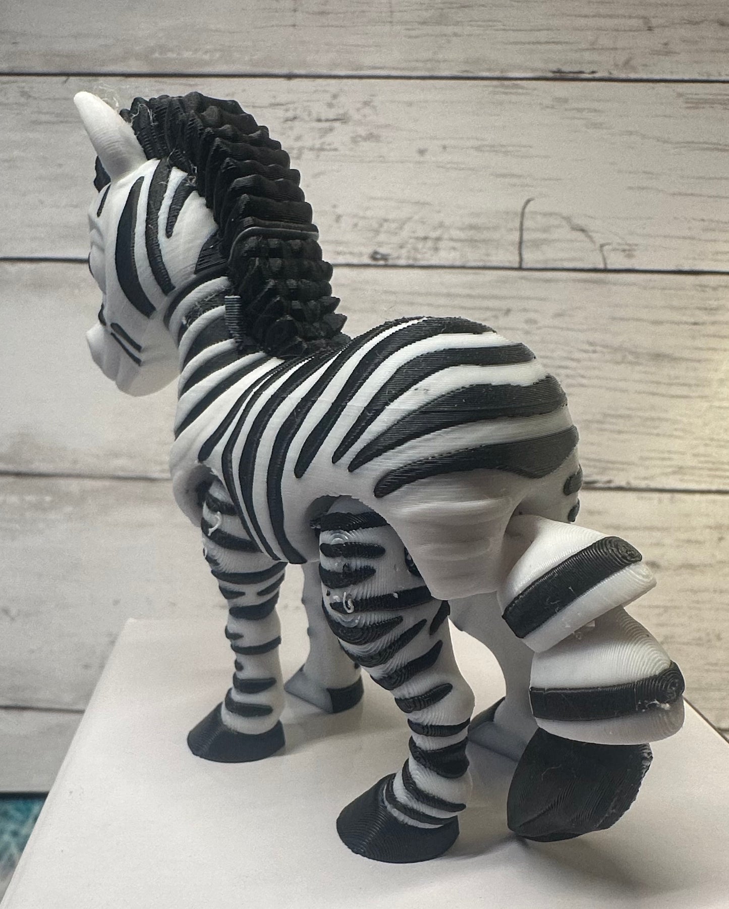 Zebra