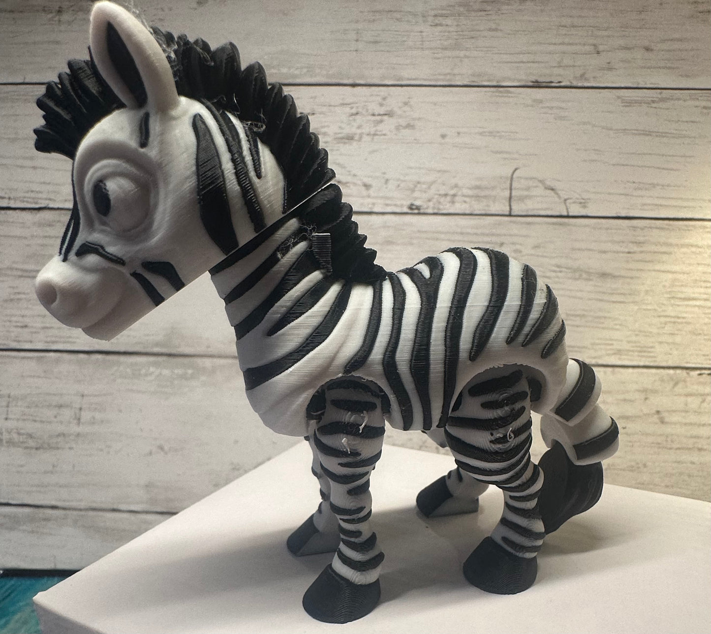 Zebra