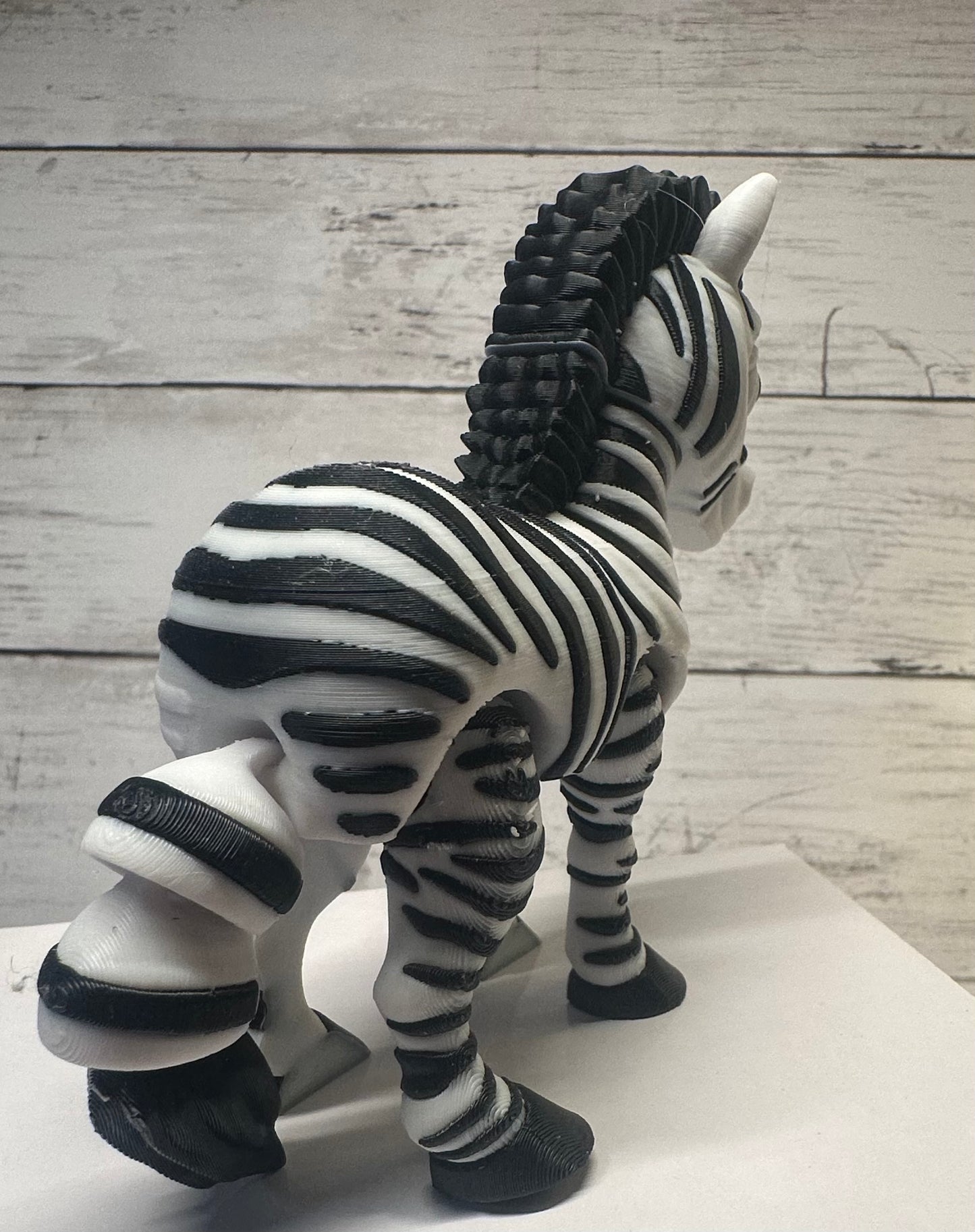 Zebra