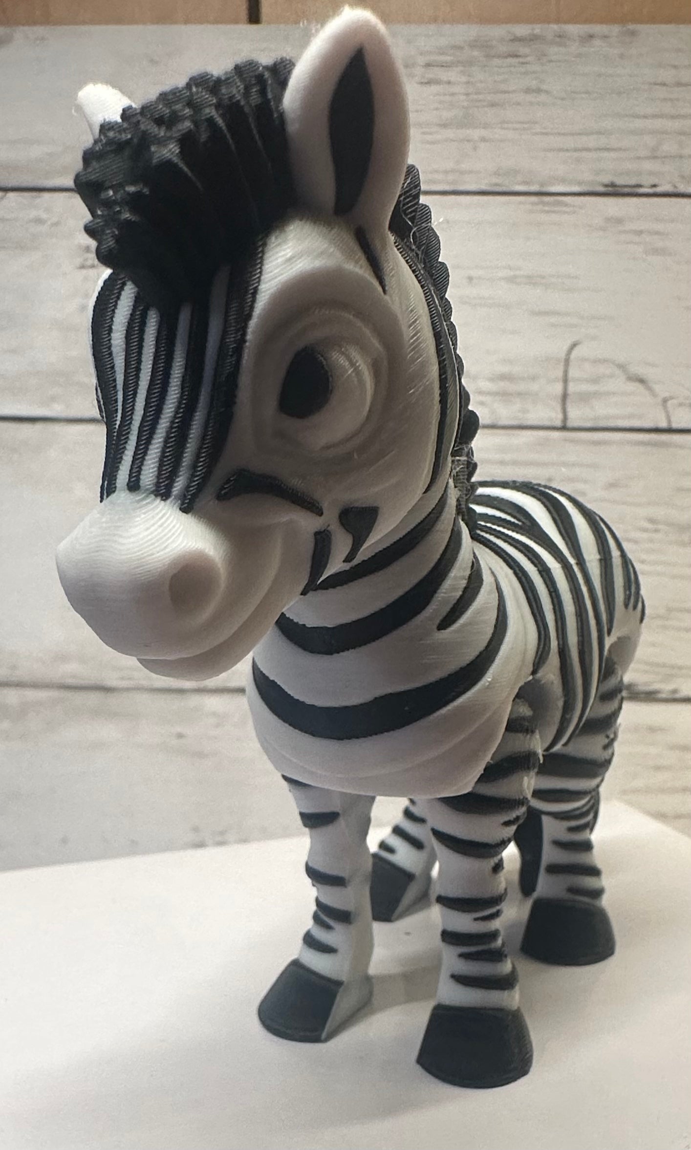 Zebra