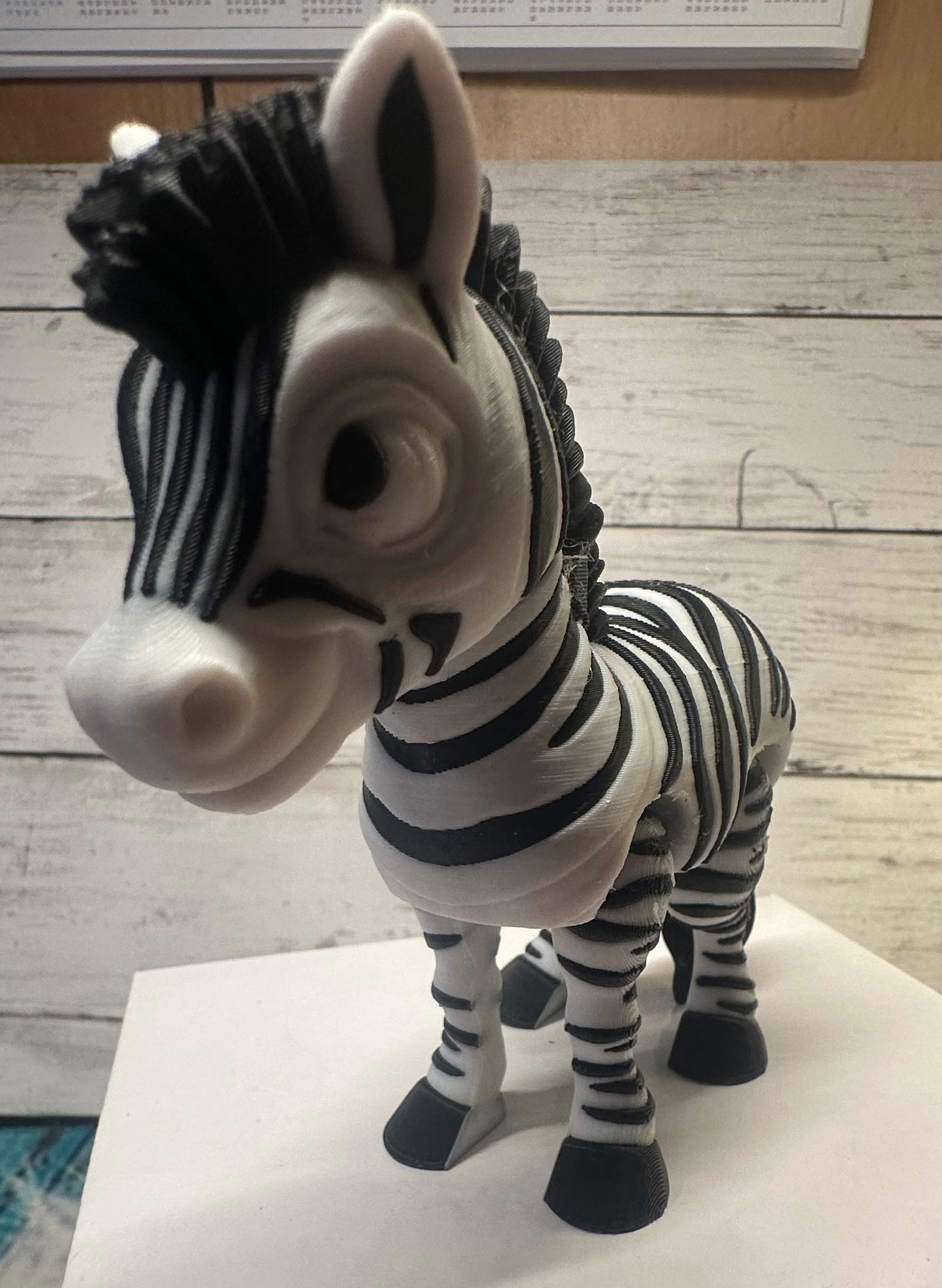 Zebra