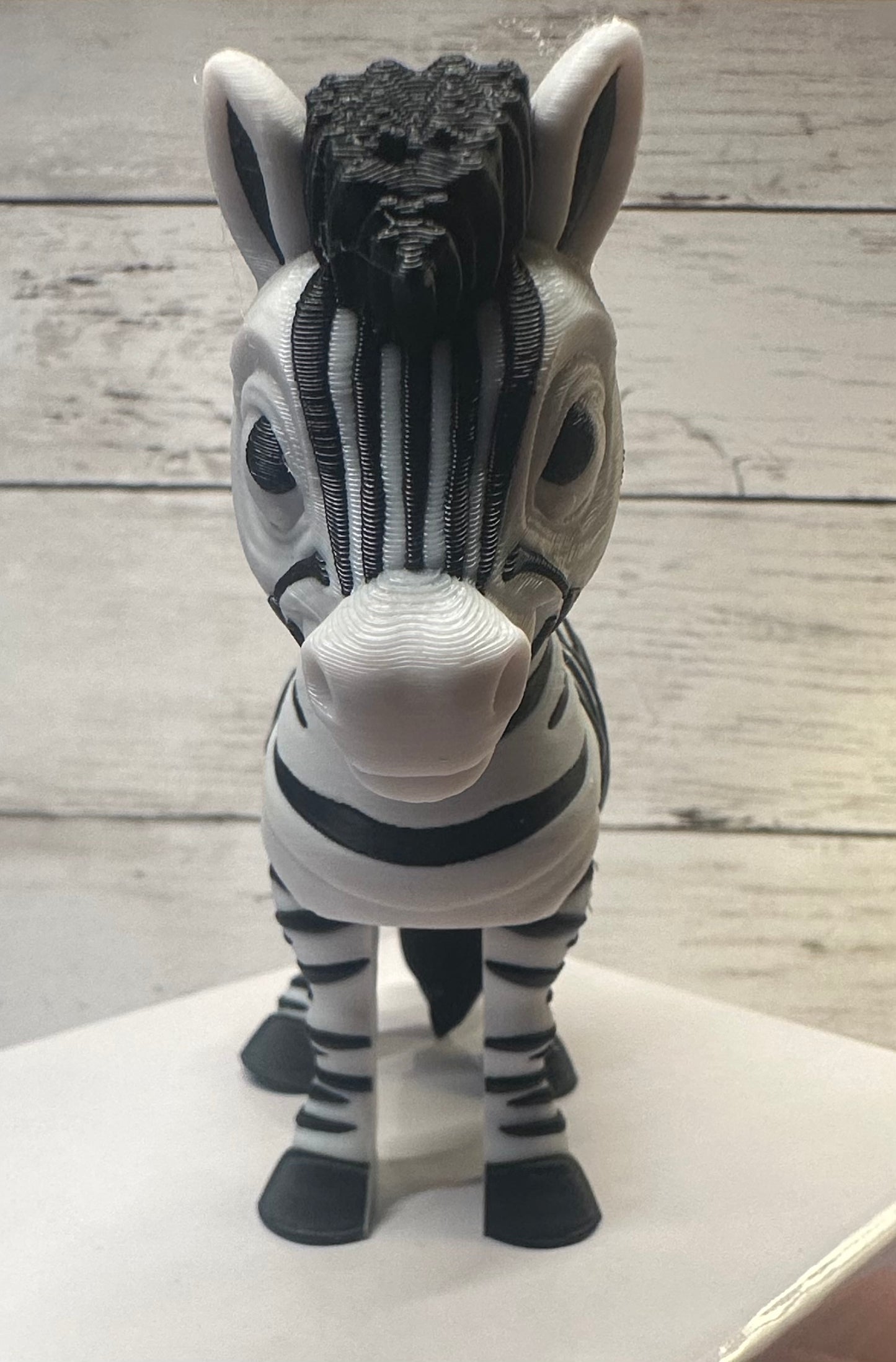 Zebra