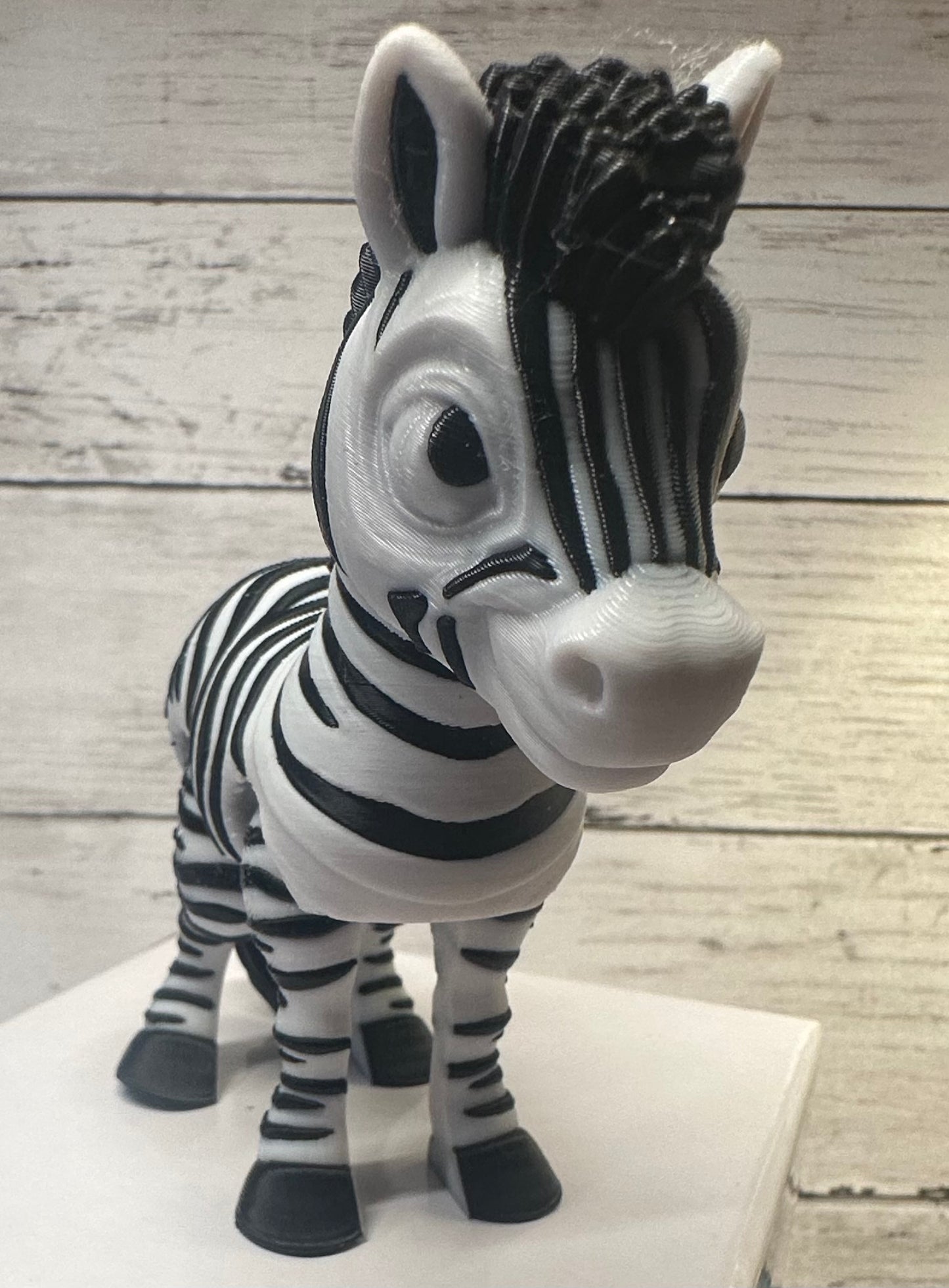 Zebra