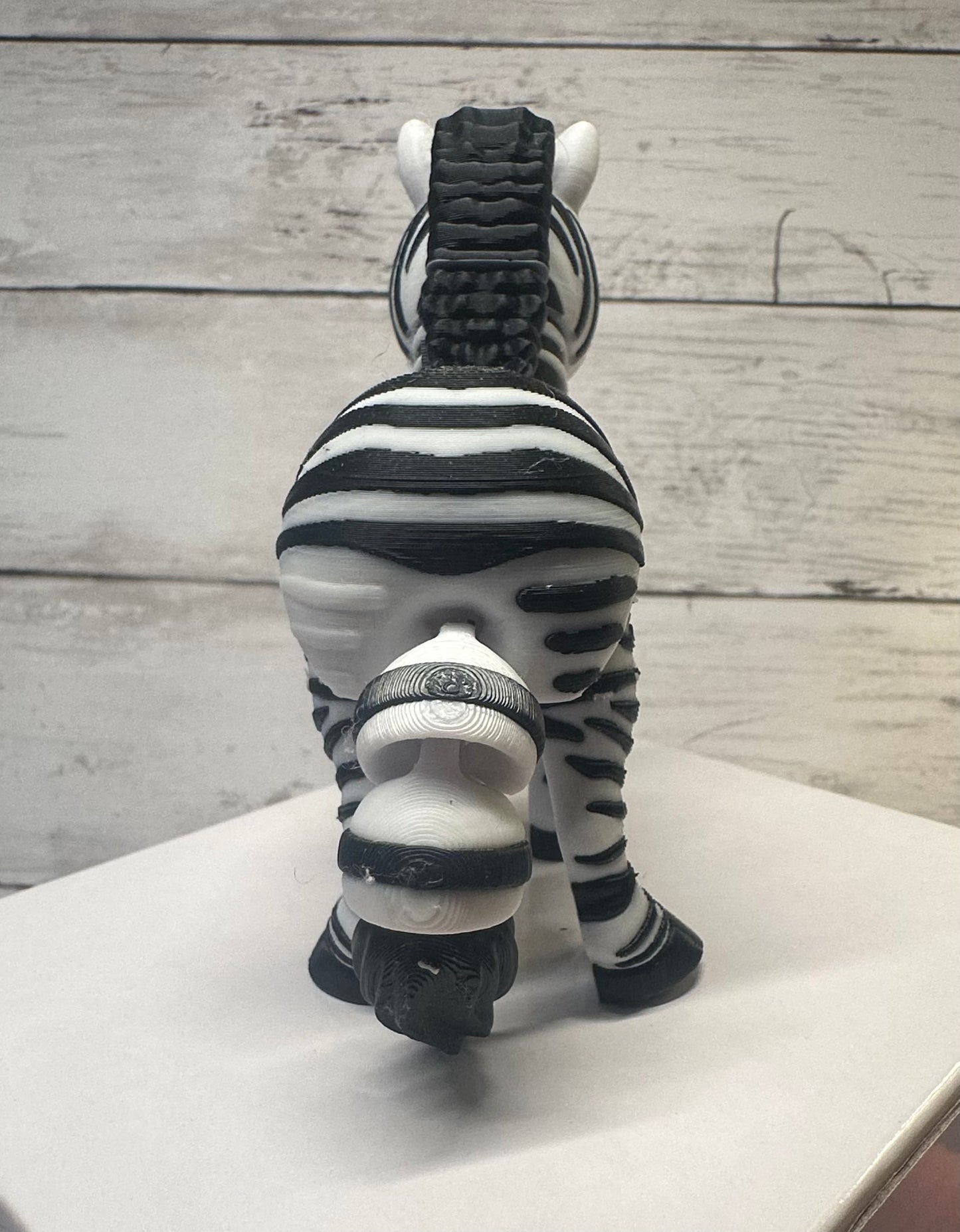 Zebra