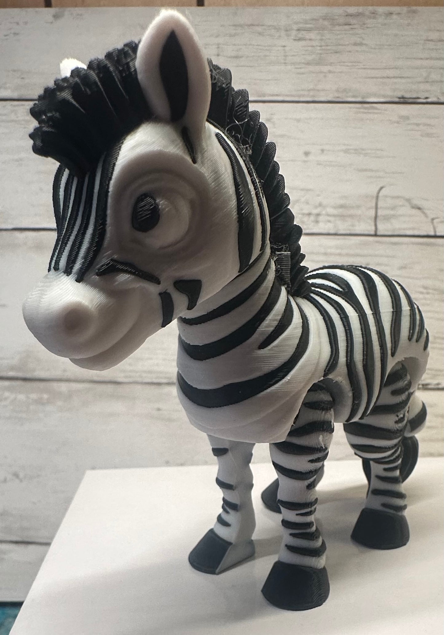 Zebra
