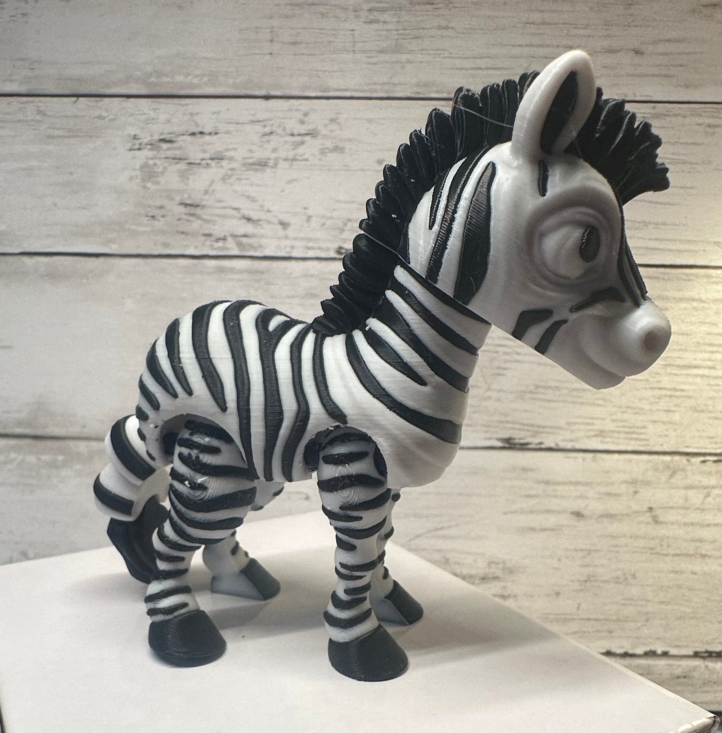 Zebra