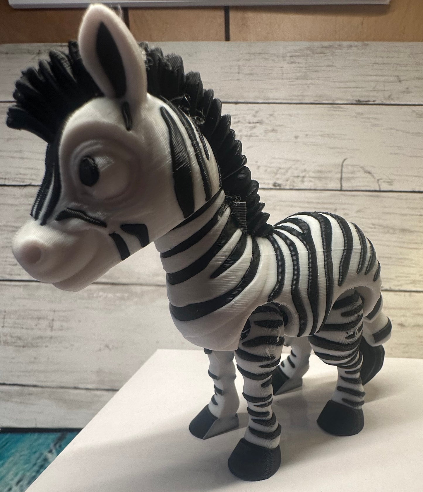 Zebra