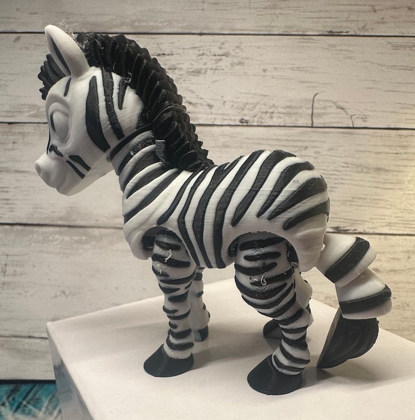 Zebra