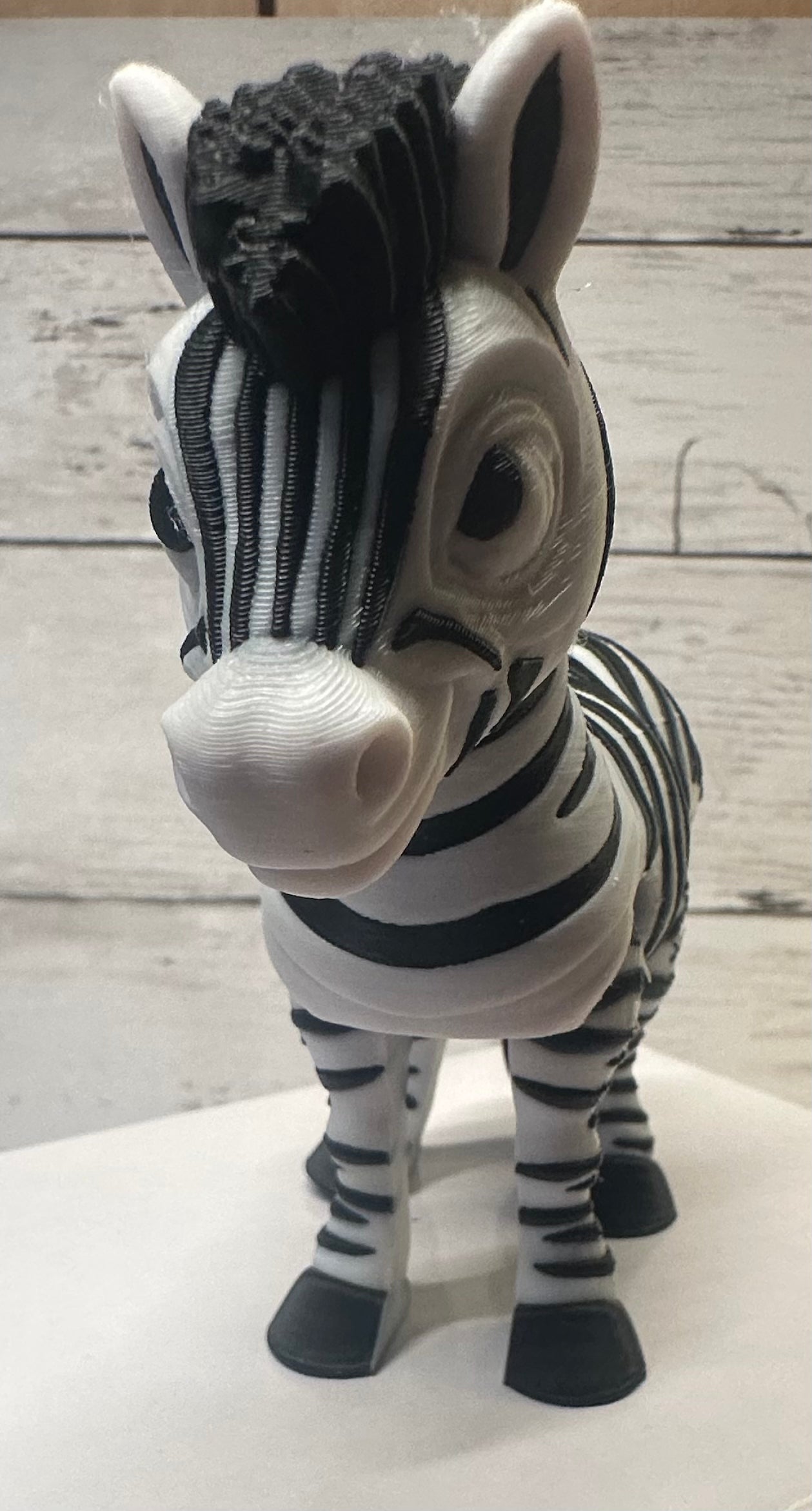 Zebra