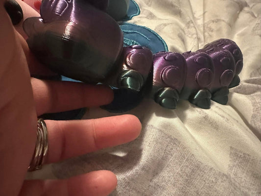 Mardi Gras caterpillar
