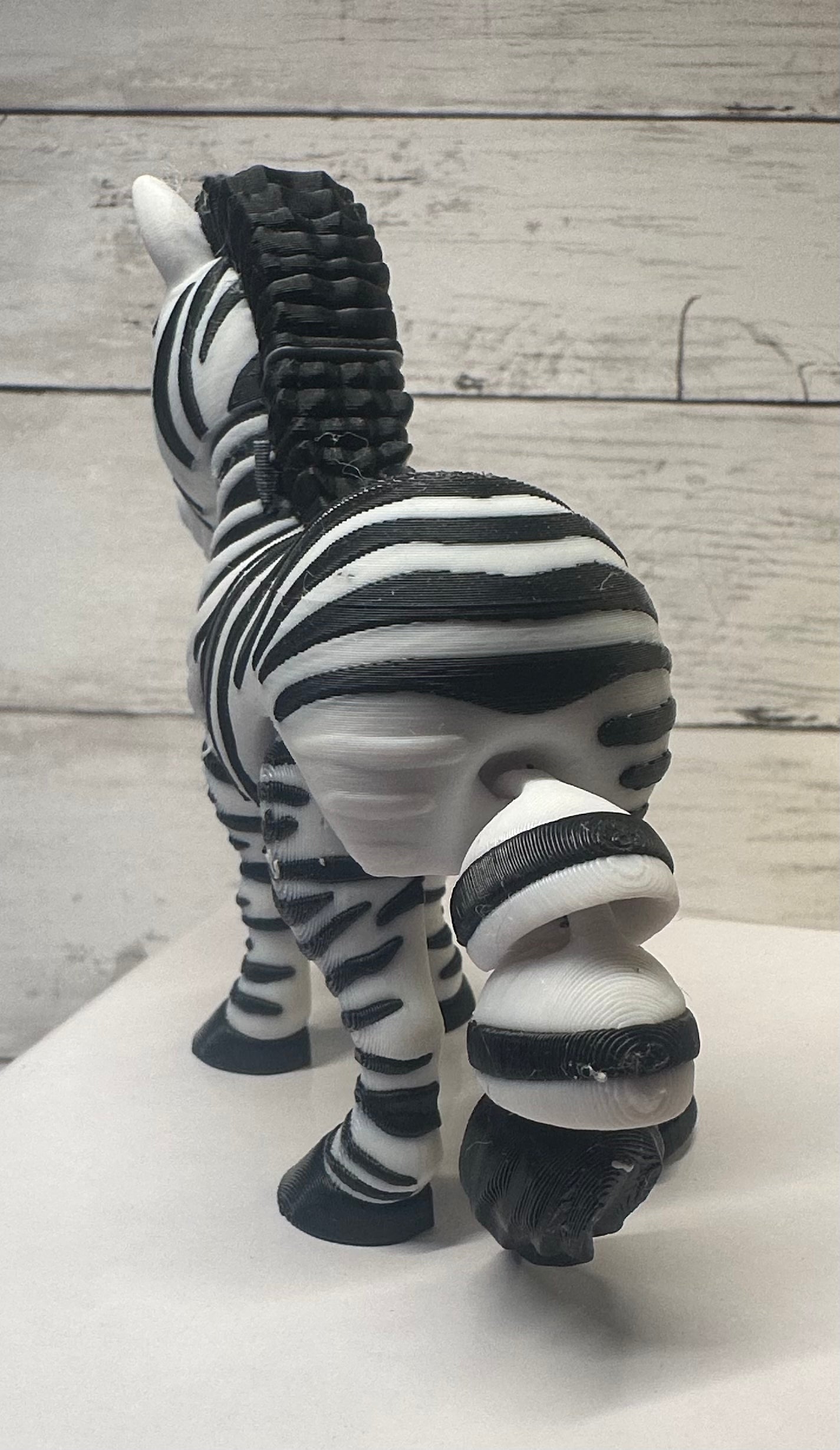 Zebra