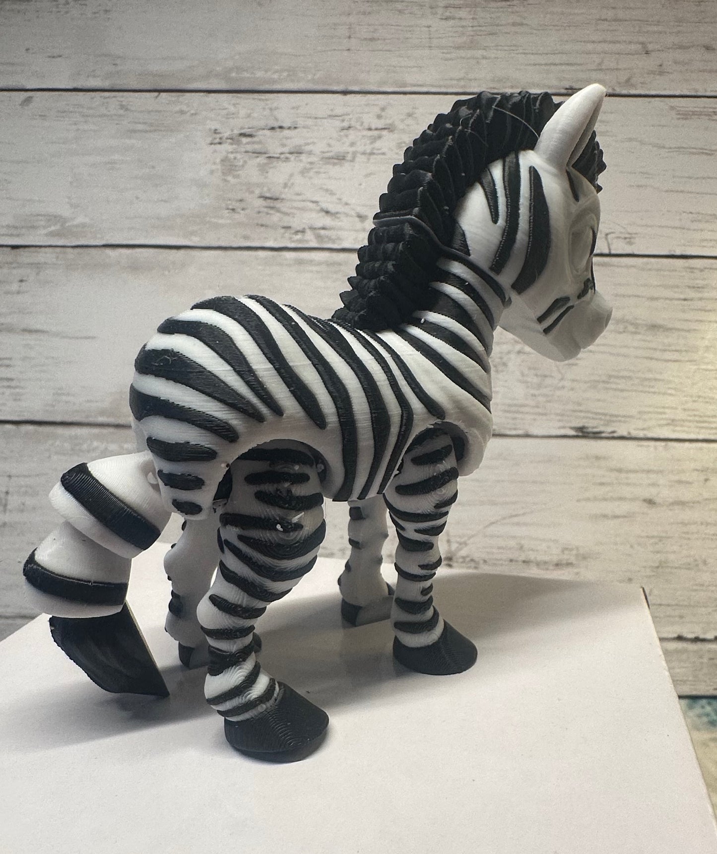 Zebra
