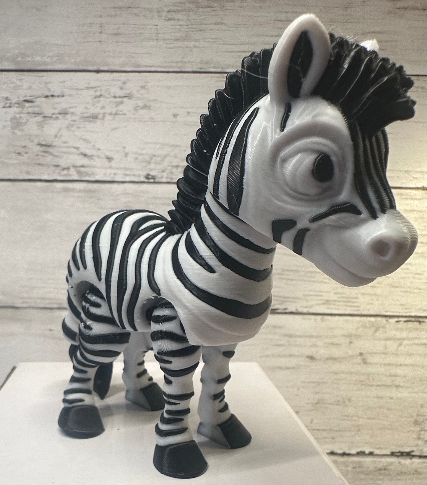Zebra